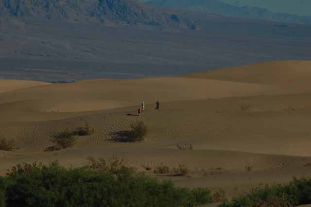 Mesquite sand dunes